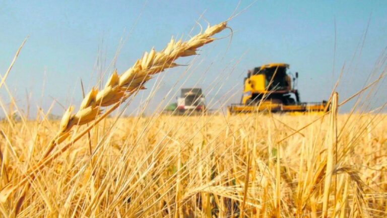 El preocupante pronóstico del campo sobre la economía: «Lo peor está por venir»