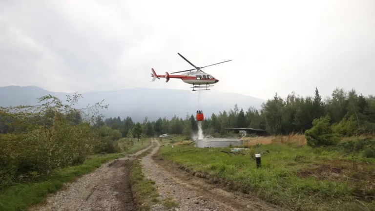 Proyecto de ley para declarar la Emergencia Nacional por Incendios en la Patagonia