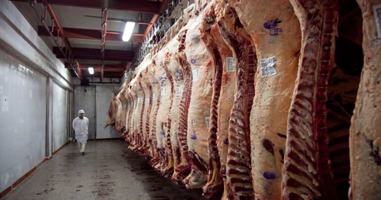 Las consecuencias de Milei. Se derrumba el consumo interno de la carne