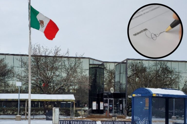 Qué es la carta poder que el Consulado de México expide en Dallas para los inmigrantes con hijos