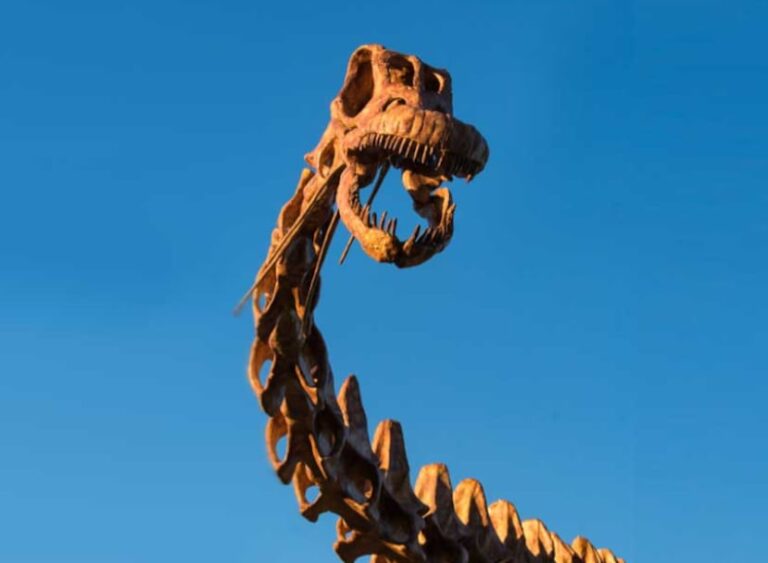 Patagotitan mayorum, uno de los dinosaurios más grandes del planeta está en Buenos Aires