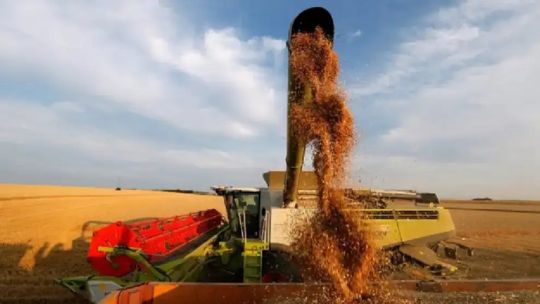 El impacto de las retenciones en el agro: Estamos en una campaña con márgenes económicos y de rentabilidad muy justos o negativos