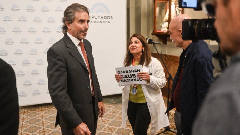 El fallido de Bertie Bengas Lynch que desató burlas en Diputados: «Los políticos son…»