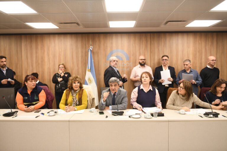 Se acordó en Diputados un pedido de informes sobre las muertes por fentanilo adulterado