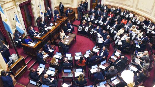 El Senado aprobó la ley de Financiamiento Universitario y rechazó la desregulación de organismos del Estado