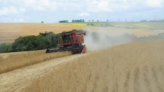 Caída de la confianza en el agro: Hay un sentimiento de pesimismo, las decisiones de inversión cayeron