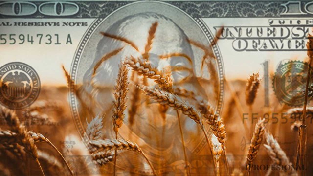 Retenciones a granos quedan en cero hasta fin de octubre o tope de u$s7.000 millones