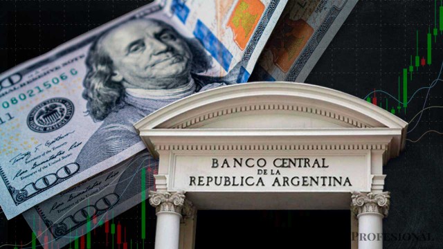Las reservas del BCRA crecieron u$s300 millones y en la City creen que el Tesoro compró dólares