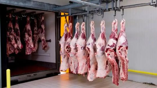 Frigorífico en Argentina, sector cárnico frente a suspensión de exportaciones a China